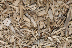 biomass boilers Rora